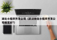 湖北小程序开发公司（武汉微信小程序开发公司哪家好?）